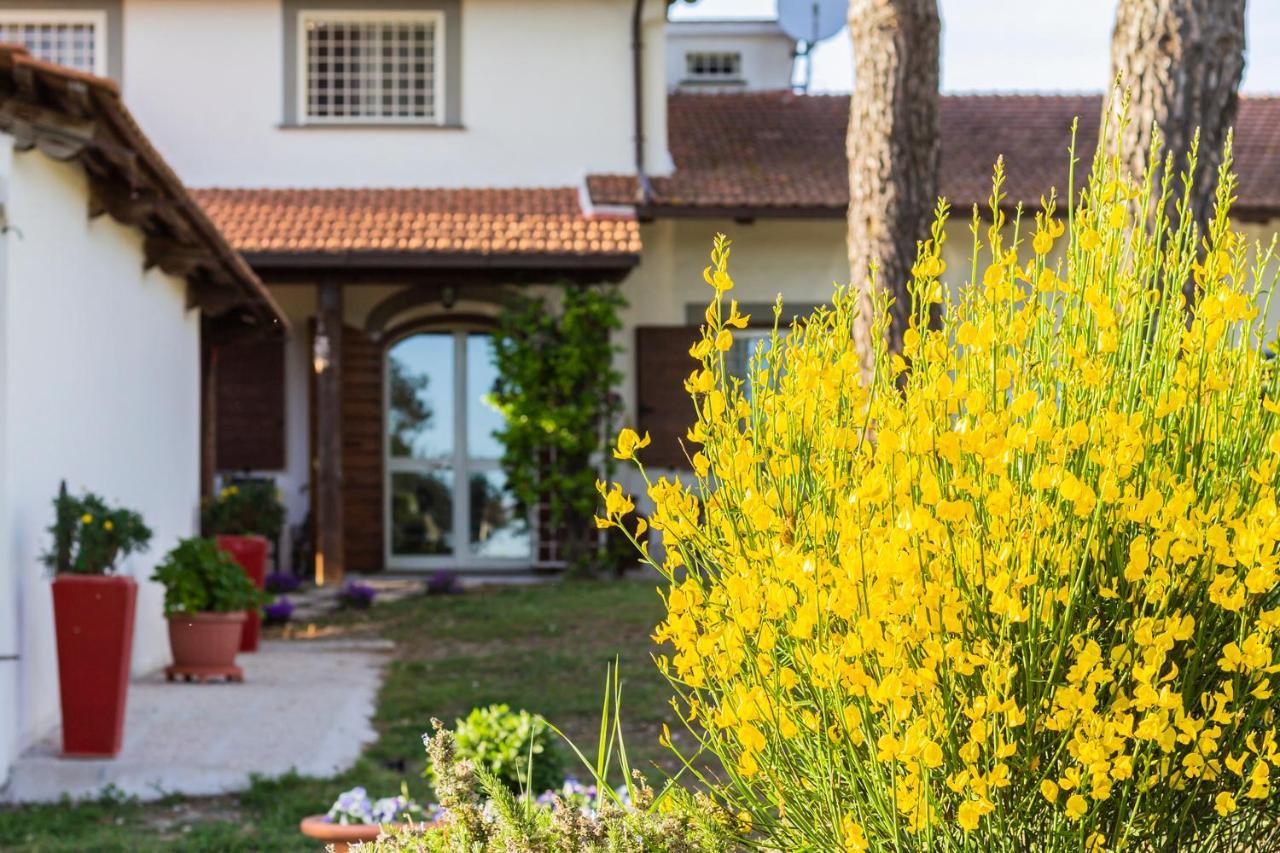 Casale Le Brecce B&B Otricoli Exteriér fotografie