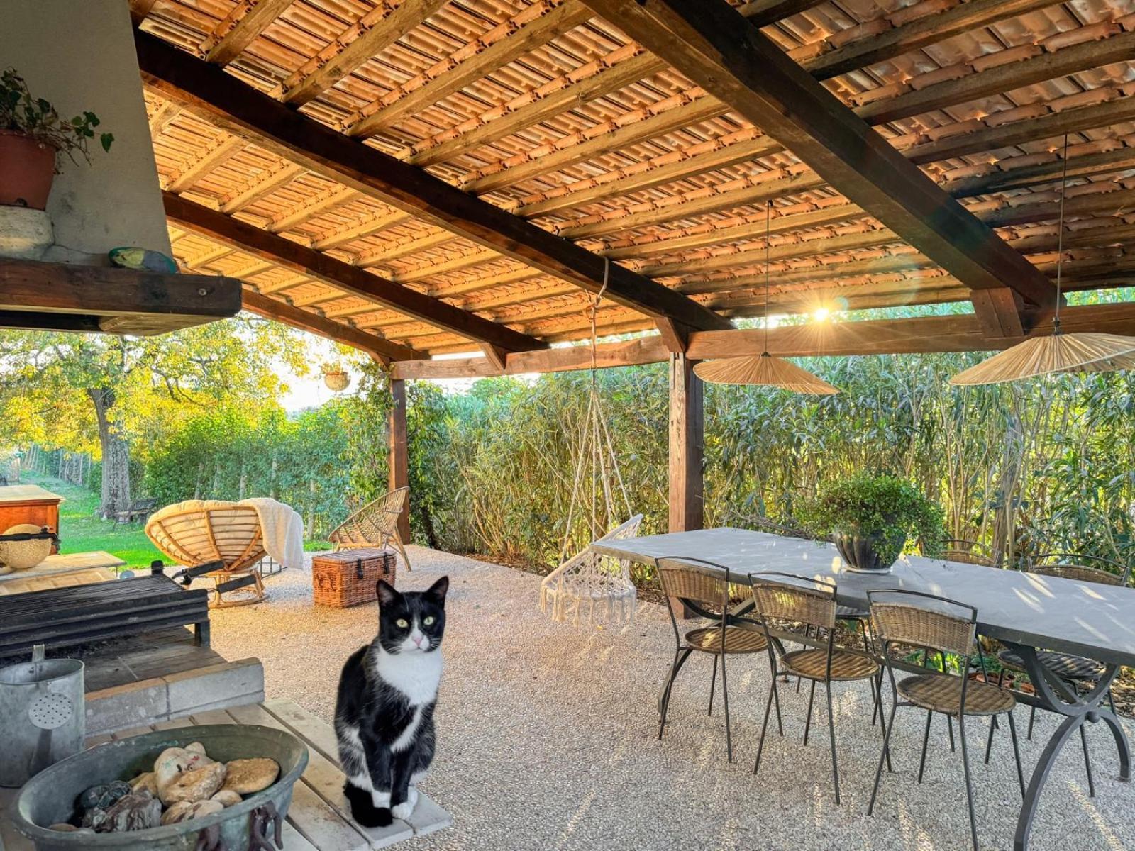 Casale Le Brecce B&B Otricoli Exteriér fotografie
